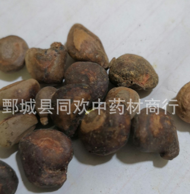 QQ截图20191208210502.png