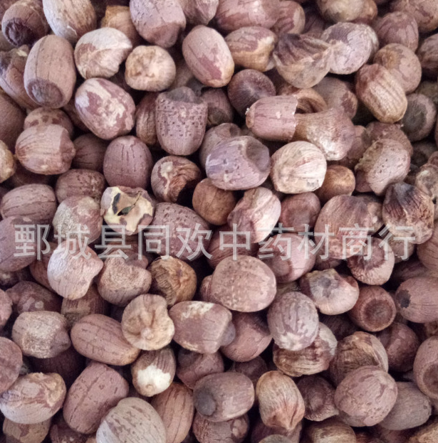 QQ截图20191201002431.png