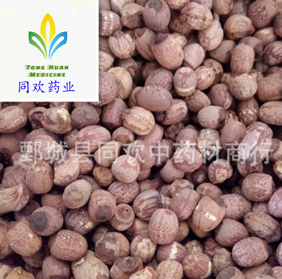 QQ截图20191201002412.png