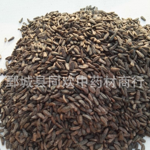 QQ截图20191205001027.png