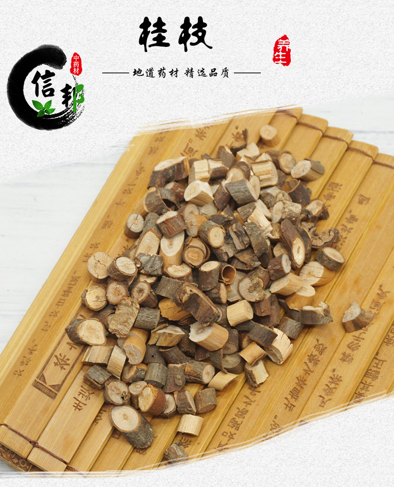 桂枝详情1.jpg