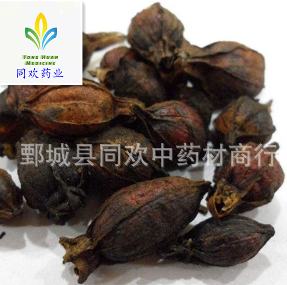 QQ截图20191129124253.png
