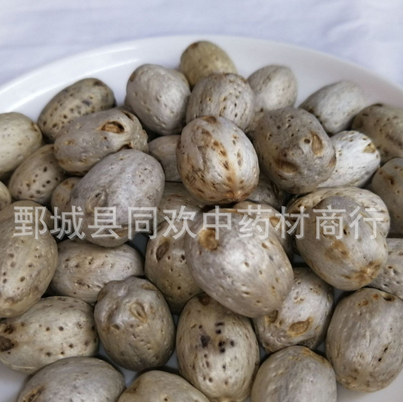 QQ截图20191213220130.png