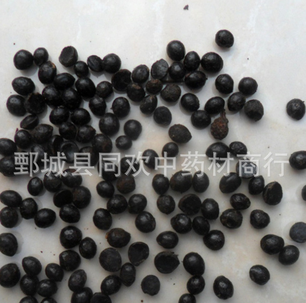 QQ截图20191218004708.png