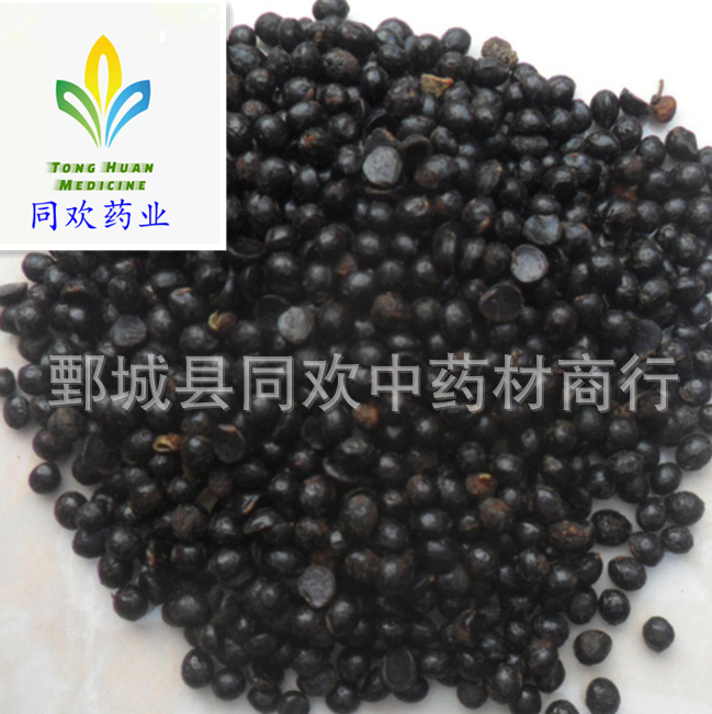 QQ截图20191218004644.png