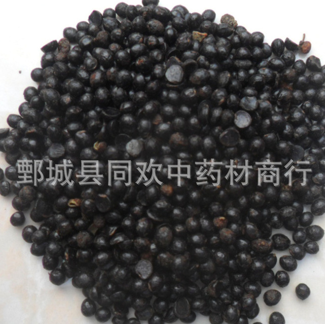 QQ截图20191218004659.png