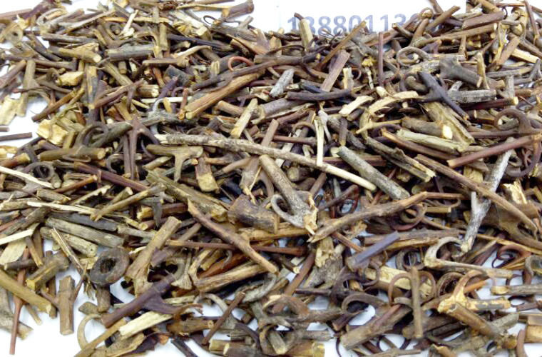 goutengbandaigoual012.jpg