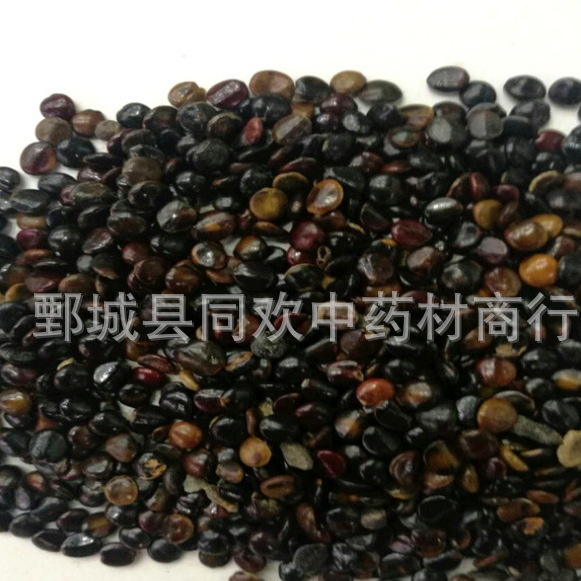 QQ截图20191201151750.png