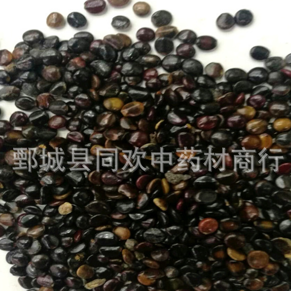 QQ截图20191201151738.png