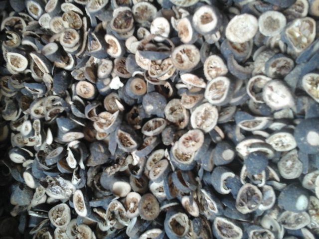 20150519_110742.jpg