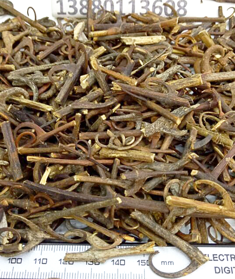 goutengdaigoual08.jpg