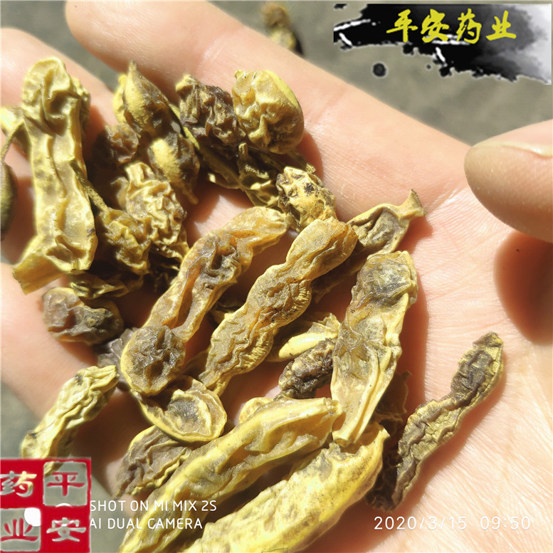 槐角云12~02_副本.jpg