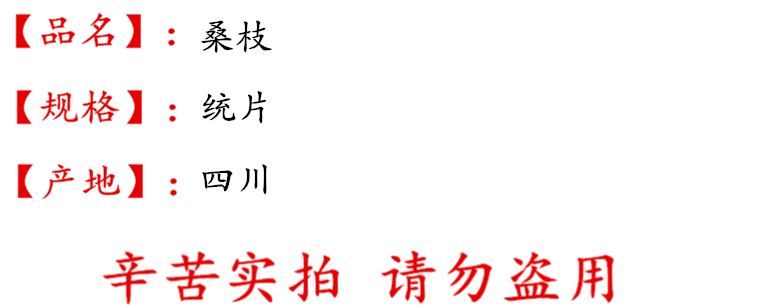 桑枝统片描述.jpg