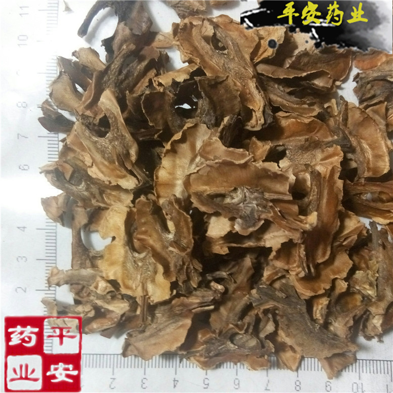 分心木~08_副本.jpg