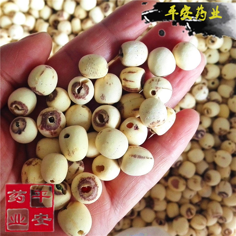 莲子~01_副本.jpg