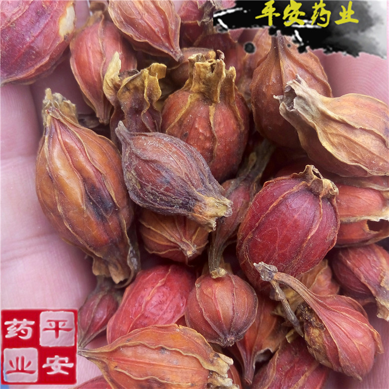 栀子枝子25小园~03_副本.jpg