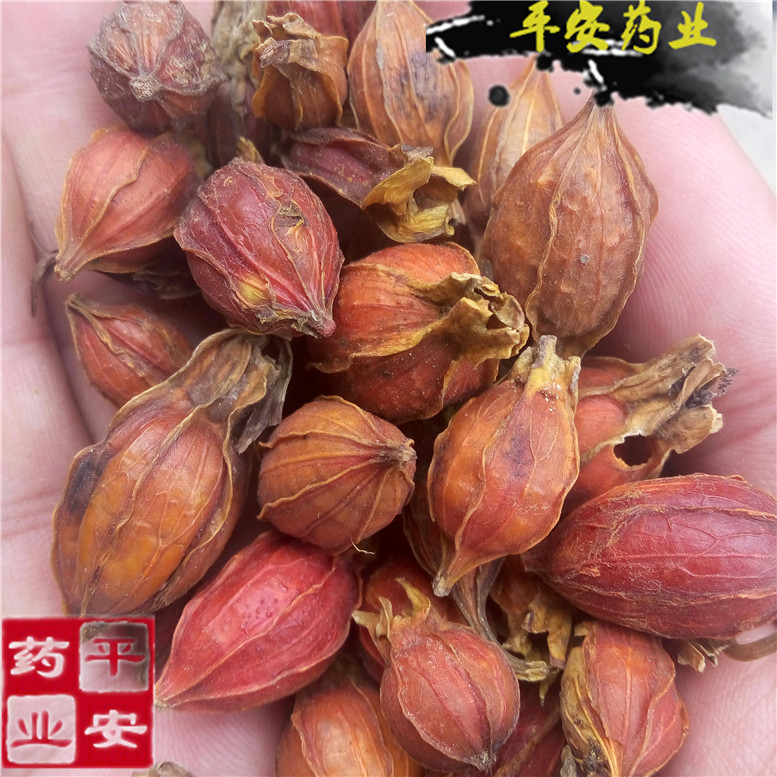 栀子枝子25小园~01_副本.jpg