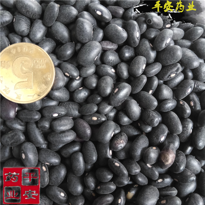 黑豆8眼镜~01_副本.jpg