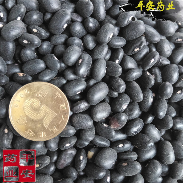 黑豆8眼镜~07_副本.jpg
