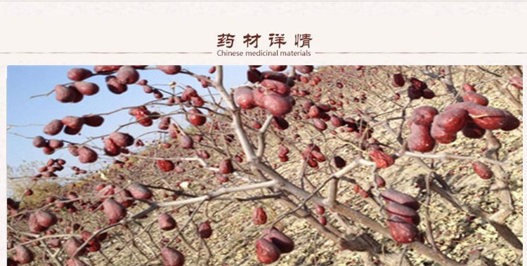 俊枣2 .jpg