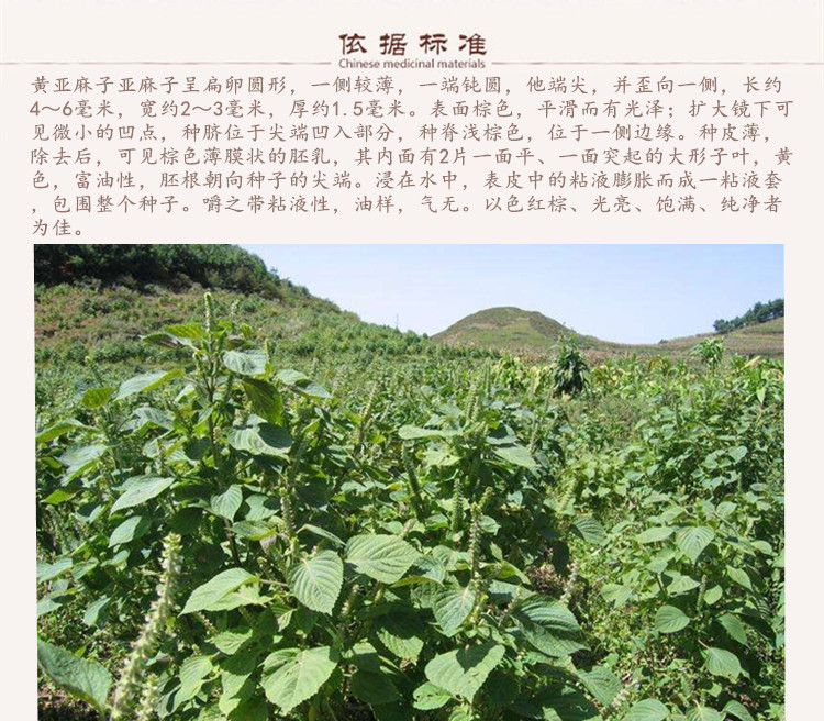 黄亚麻子6.jpg