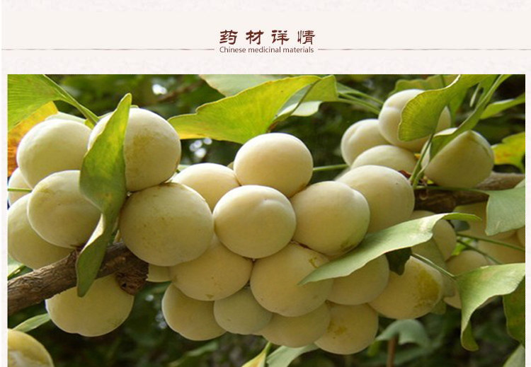 白果2.jpg