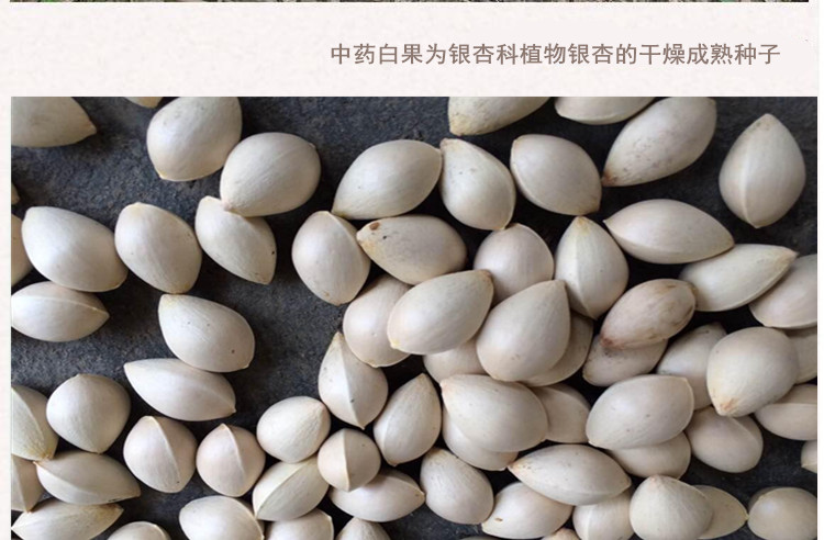 白果3.jpg