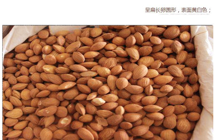 选货桃仁7.jpg