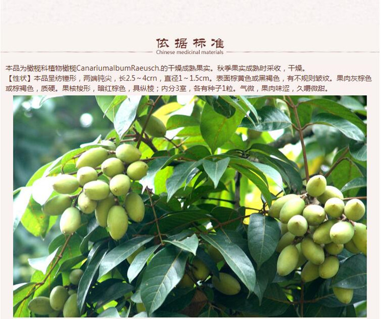 青果4.jpg