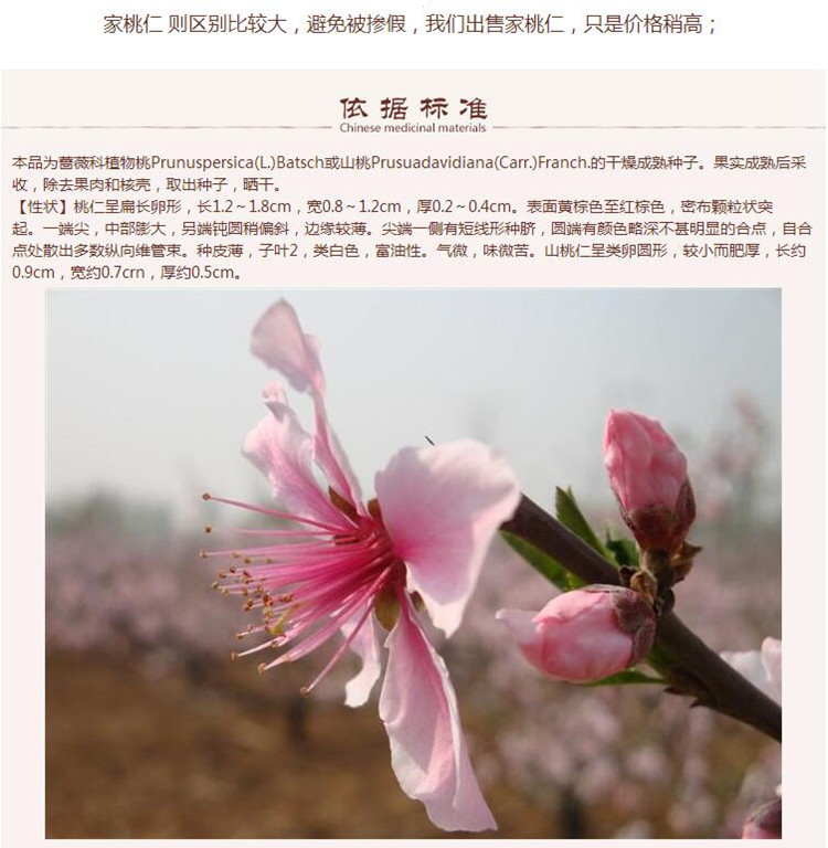 去皮统货桃仁9.jpg