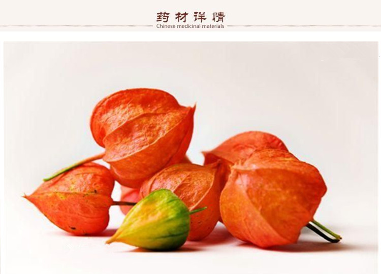 金灯2.jpg