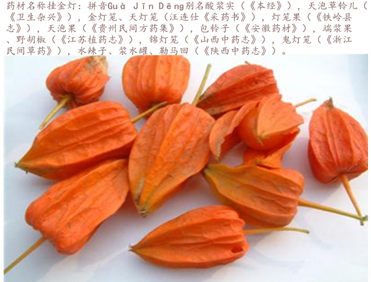 挂金灯3.jpg