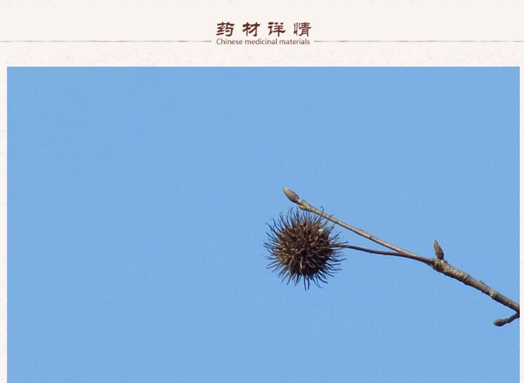 路路通2.jpg