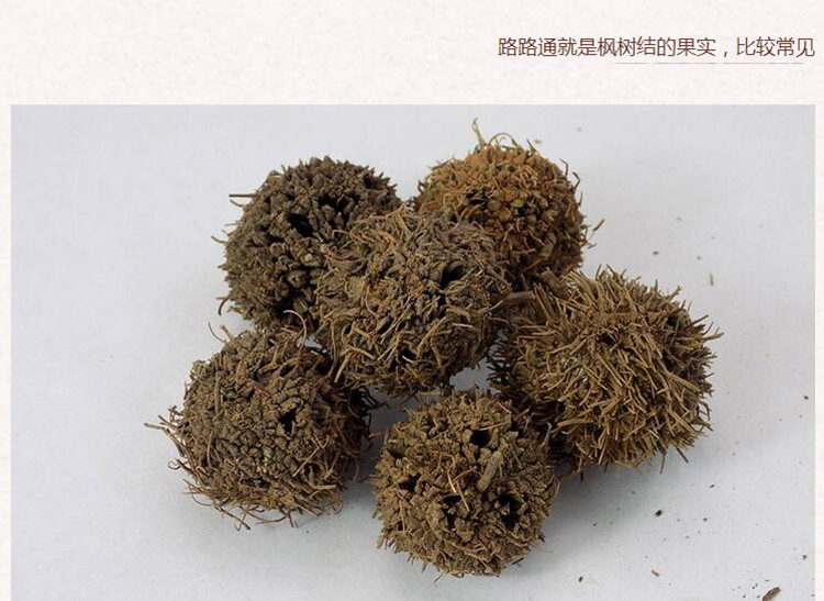 路路通3.jpg
