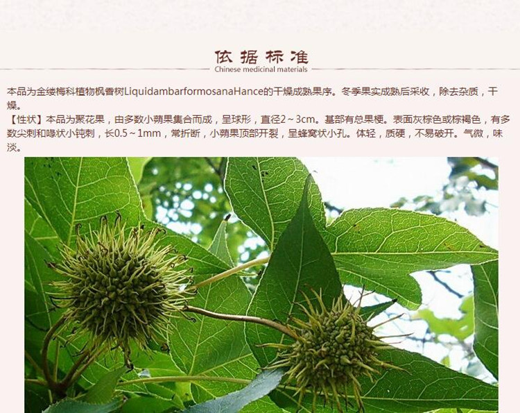 路路通5.jpg