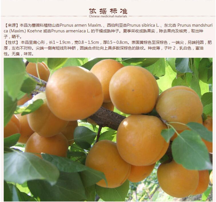 有皮苦杏仁8.jpg