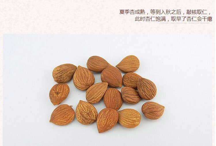 有皮苦杏仁5.jpg