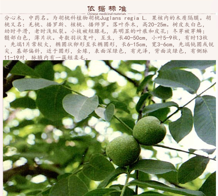 分心木9.jpg
