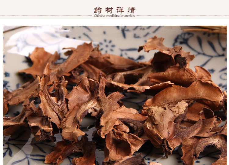 分心木2.jpg