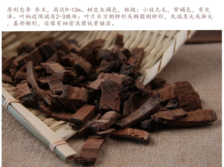 李根白皮5.jpg