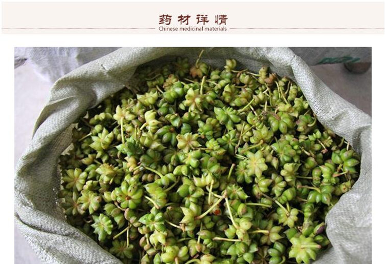 新八角2 (1).jpg