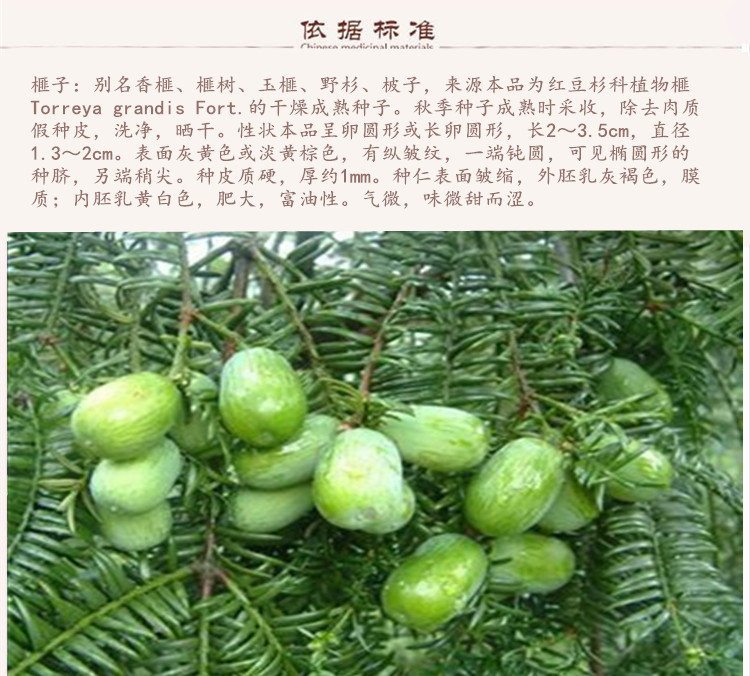 榧子9.jpg