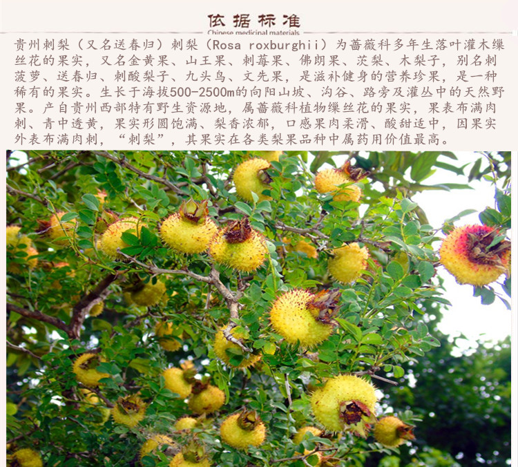 云母石9.jpg