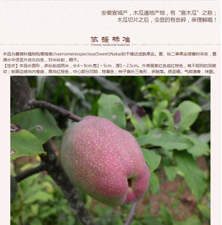 木瓜3.jpg
