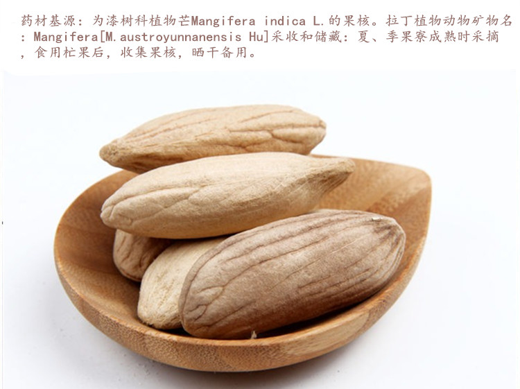 芒果核2.jpg