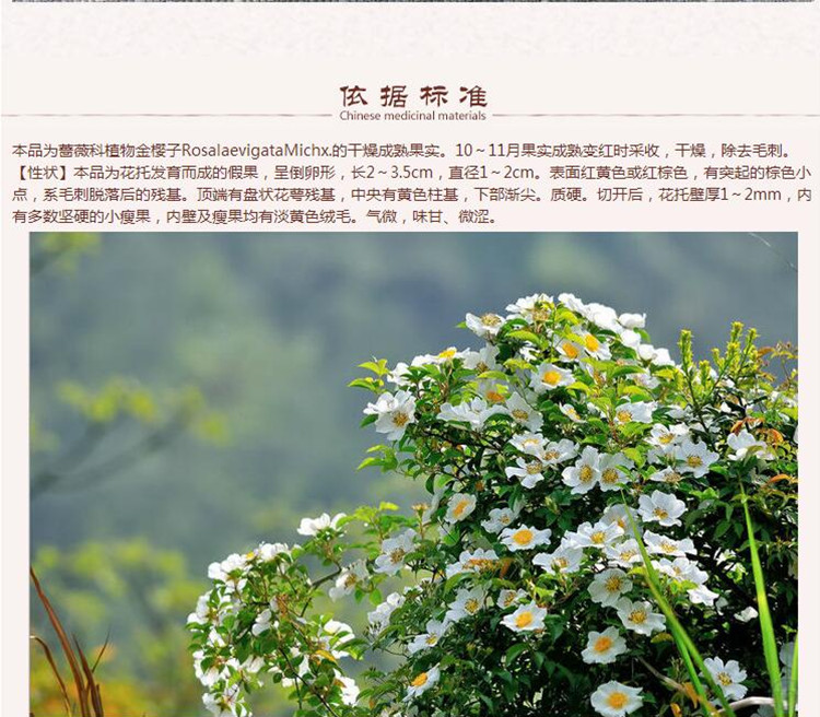 金樱子7.jpg