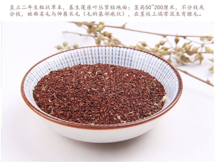 月见草2.jpg