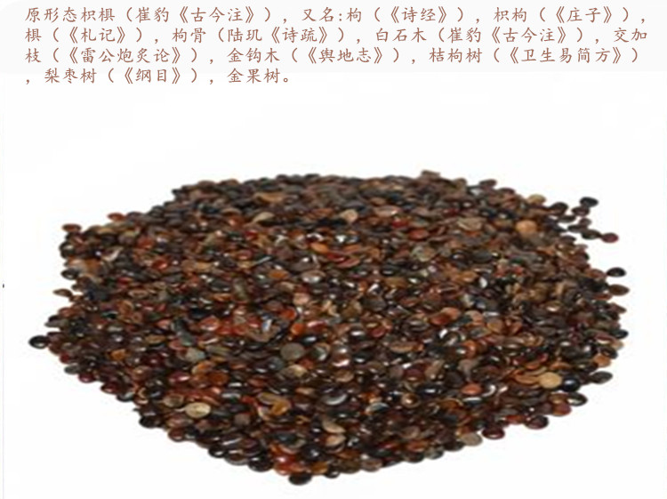 枳椇子5.jpg