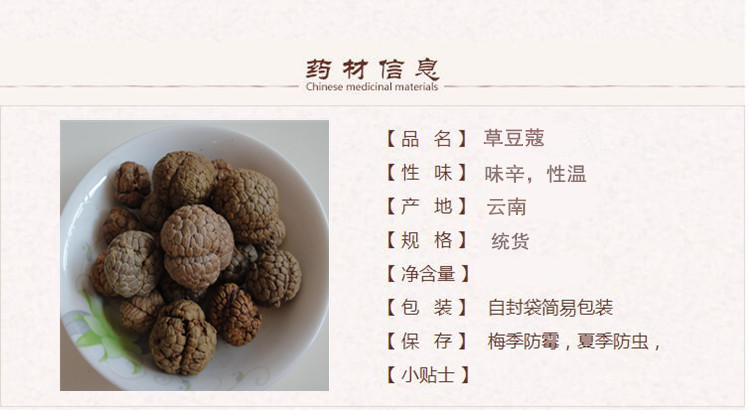 草豆蔻1.jpg