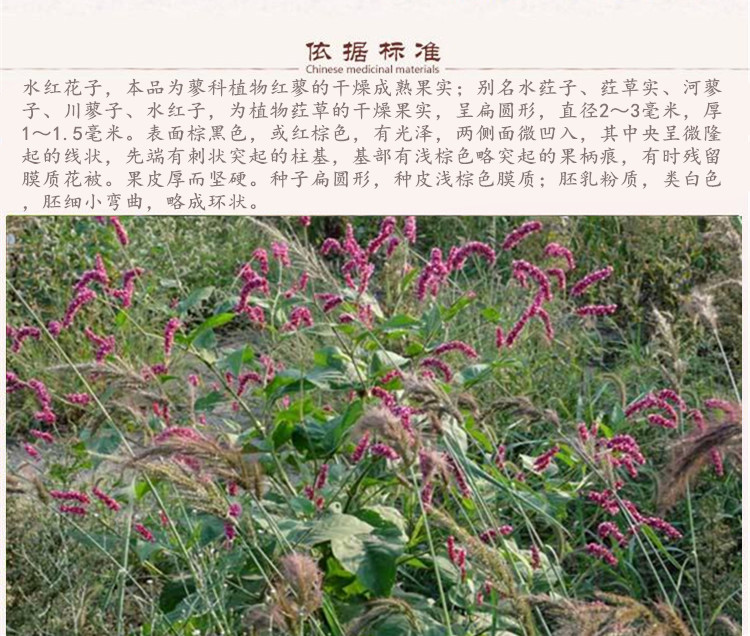 花子5.jpg